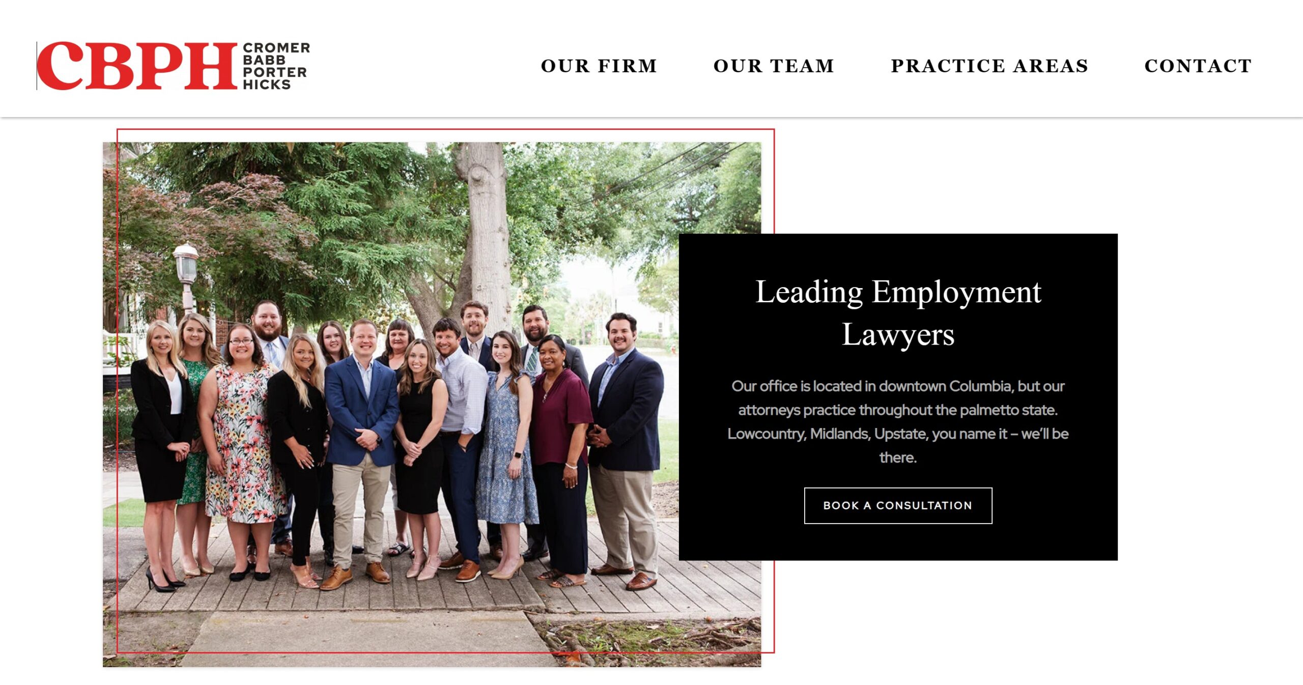 Top 5 Employment Lawyers in Chapin SC