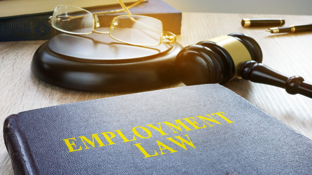 Employment Lawyers in Chapin SC