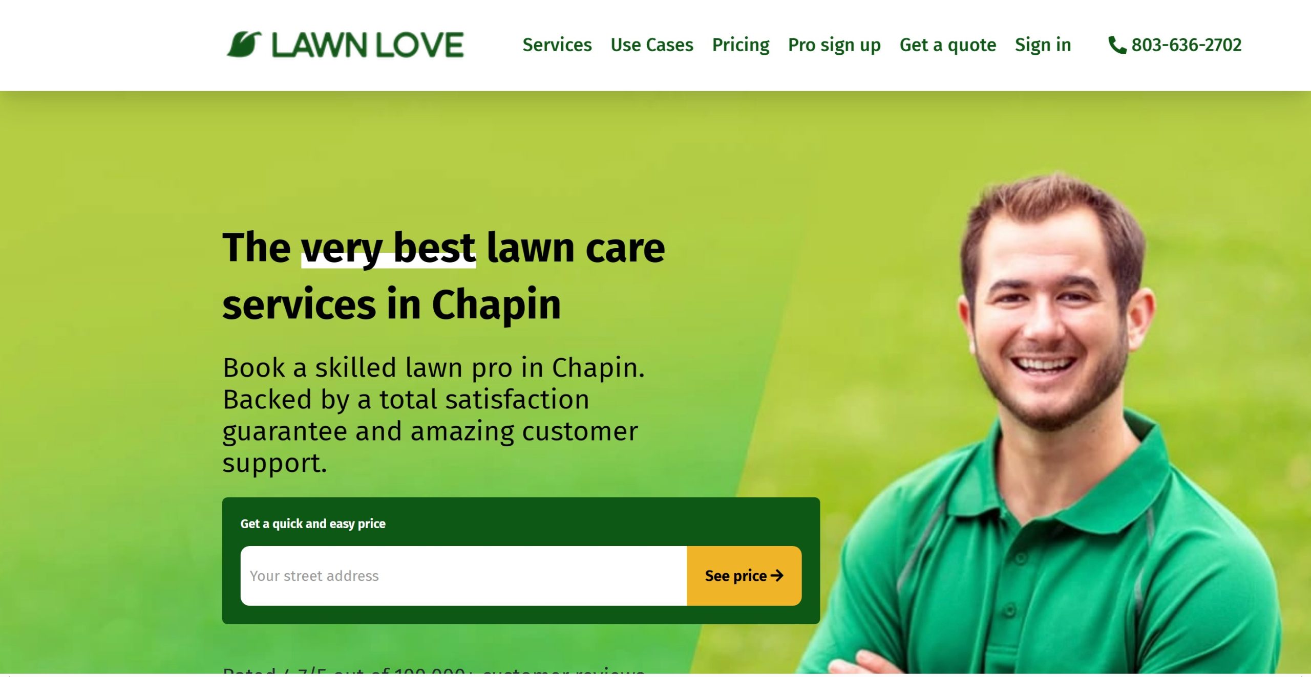 Lawn Love Website Homepage Screenshot