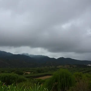 Rain-soaked landscape in Southern California