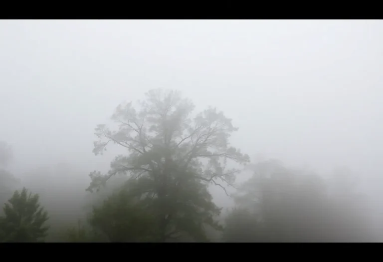 Foggy morning landscape in South Carolina