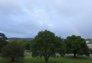 Cloudy weather with a chance of rain in Chapin, SC