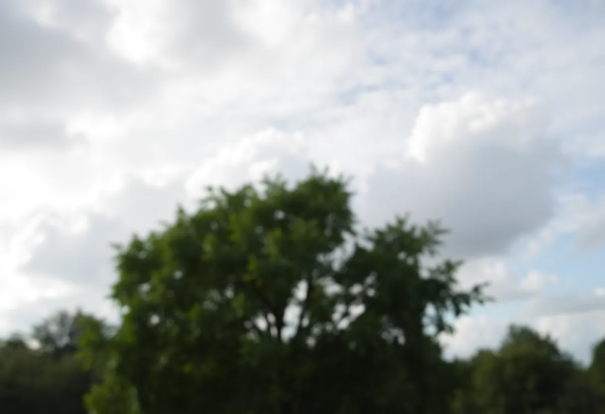 Outdoor scene of mild weather in Chapin, SC.